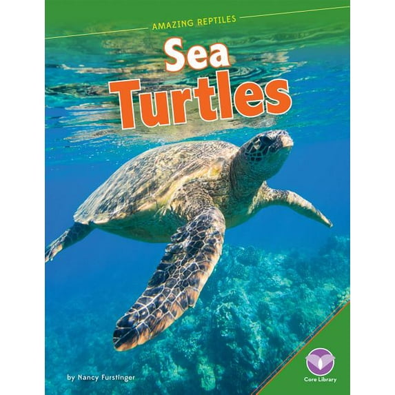 Amazing Reptiles Sea Turtles, (Hardcover)