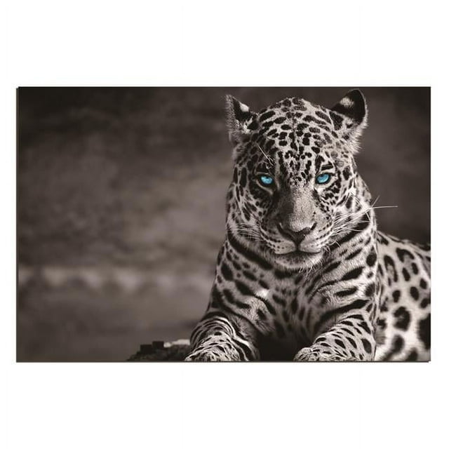 Amazing Rugs LPBE-99996 32 x 48 in. Oppidan Home Spotted Leopard in Black & White Acrylic Wall Art
