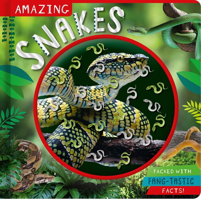 Amazing Snakes - by Naomi Churn (Hardcover)