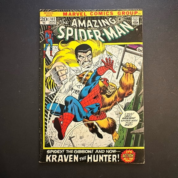 Amazing Spider-Man #111 Comic Book