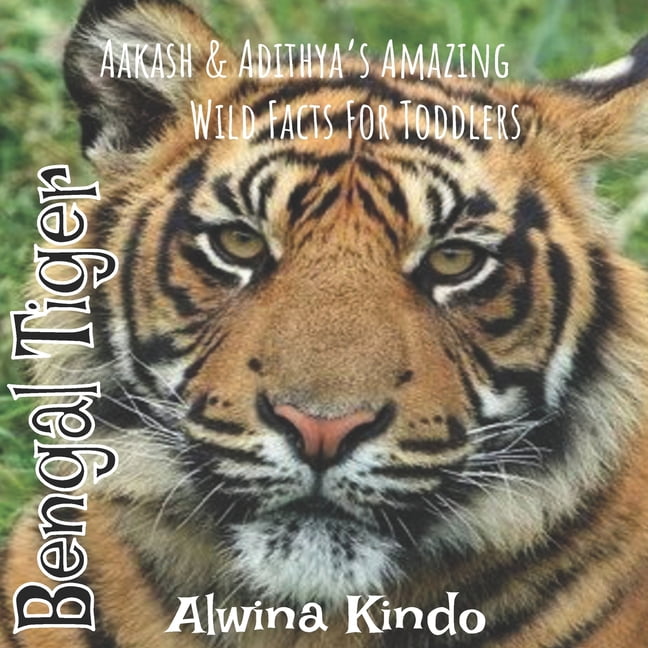 Amazing Wild Facts: Bengal Tiger : Aakash & Adithya's Amazing Wild Facts  For Toddlers (Paperback) 