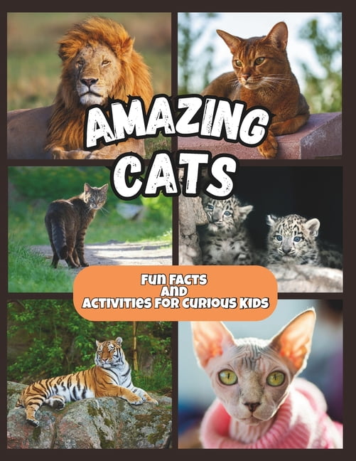 Amazing World - Fun Facts and Activities Amazing Cats - Fun Facts and Activities for Curious Kids, Book 2, (Paperback)