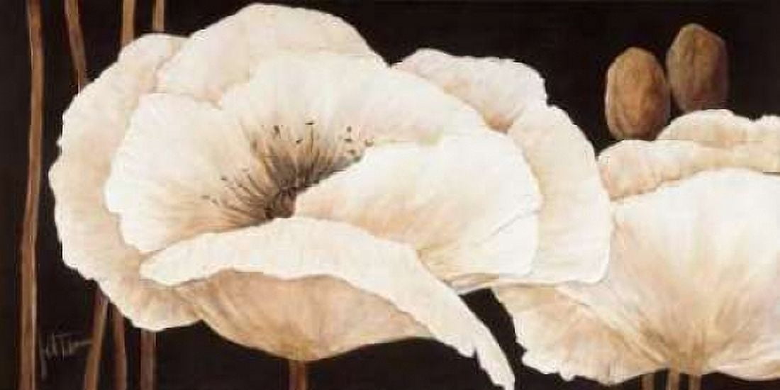 Amazing poppies III Canvas Art - Jettie Roseboom (10 x 20)