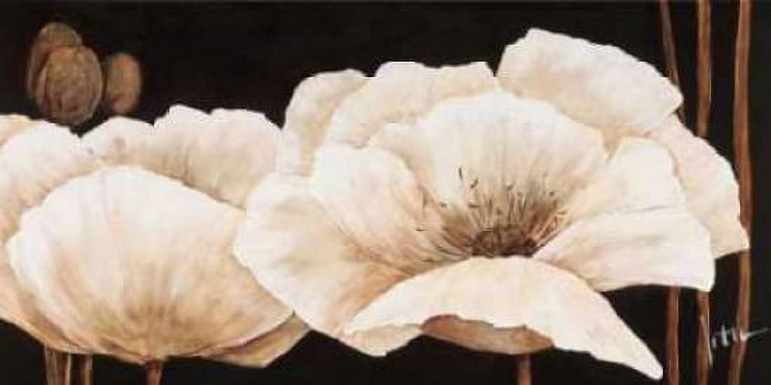 Amazing poppies IV Canvas Art - Jettie Roseboom (10 x 20)