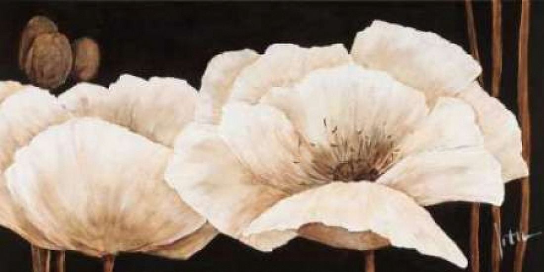 Amazing poppies IV Canvas Art - Jettie Roseboom (24 x 48)