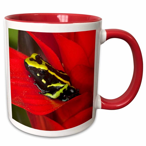 3drose, Amazon Basin, Three-stripe Dart Frog - Na02 Bja0026 - Jaynes Gallery, 11oz Two-tone Red Mug