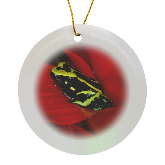 3drose, Amazon Basin, Three-stripe Dart Frog - Na02 Bja0026 - Jaynes Gallery, Circle Porcelain Ornament