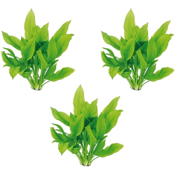 Amazon Sword Echinodorus Bleheri (1 Plant | Bare Root | Large 12+ Inches) Live Aquarium Plants BUY 2 GET 1 FREE