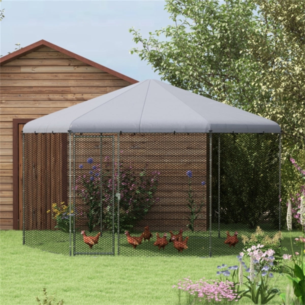 Amazon‘s HighQuality Chicken Coop with Fast Shipping (Not Allowed by