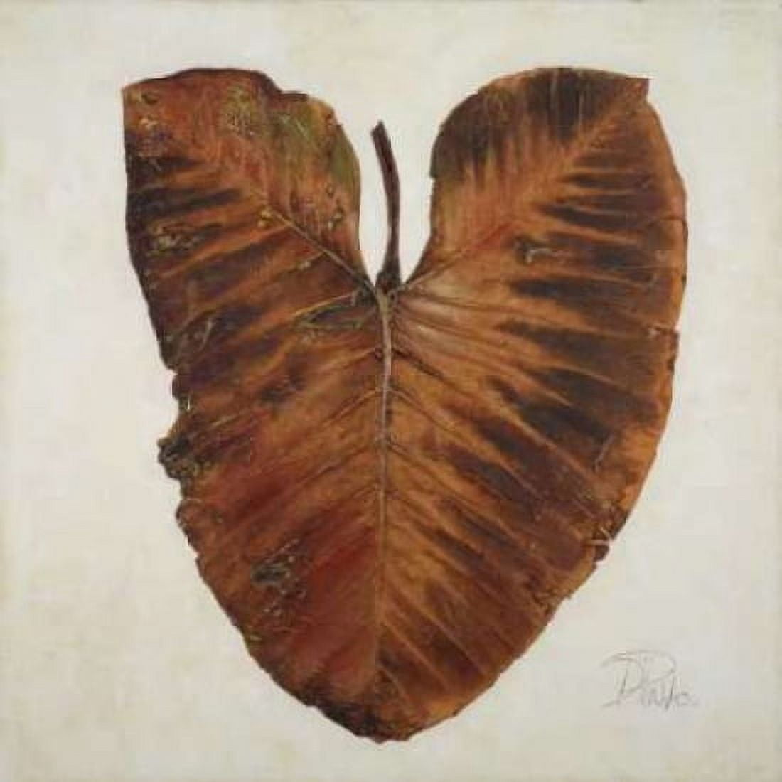 Amazonas I Canvas Art - Patricia Pinto (24 x 24)