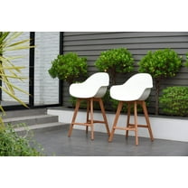 Amazonia 2-Piece Tomasson Barstool, Seat Height: 18, Chair Back Style: Solid Pattern