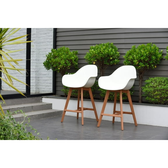 Amazonia 2-Piece Tomasson Barstool, Seat Height: 18, Chair Back Style: Solid Pattern