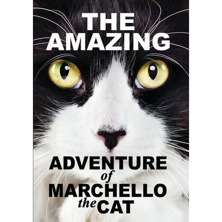 Amazying Adventure of Marchello the Cat DVD Random Media Comedy