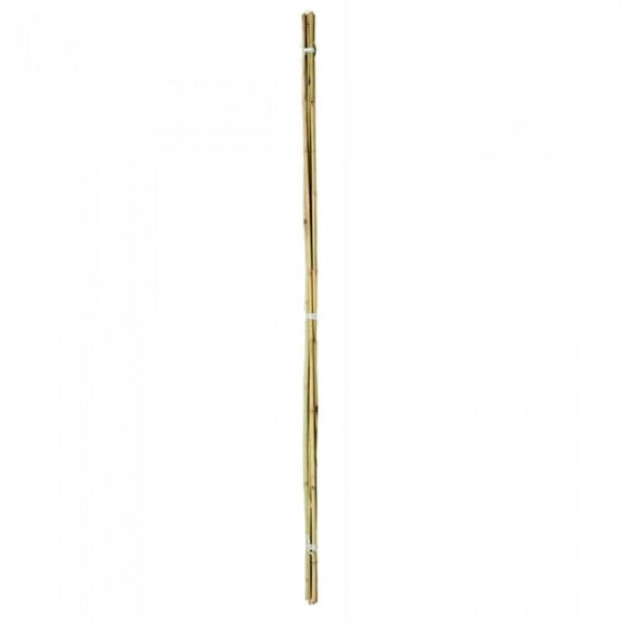 Ambassador Bamboo Canes (Pack Of 20)