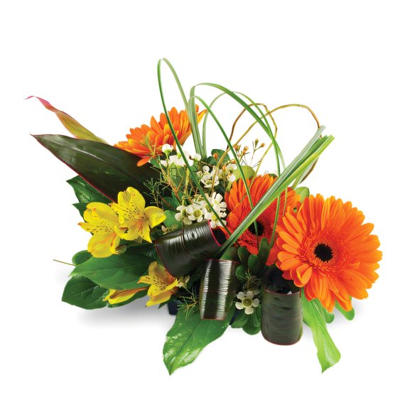 Ambassador Floral Co - Triple Delight - Premium