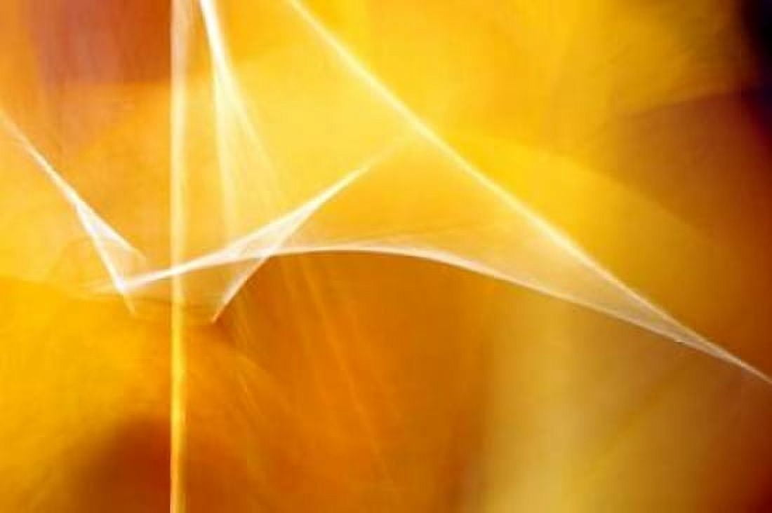 Amber Abstract II Canvas Art - Douglas Taylor (24 x 36)