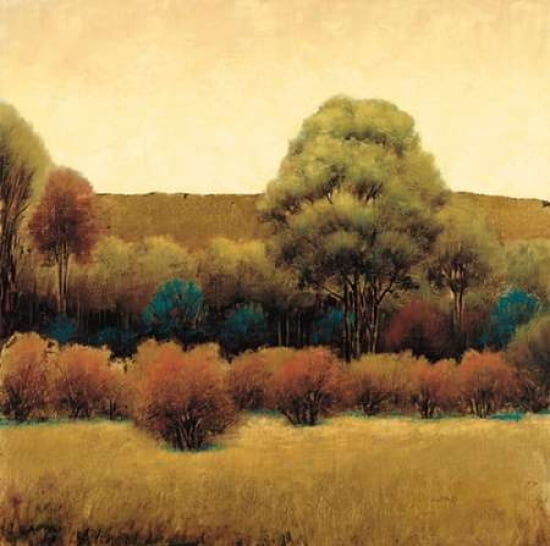 Amber Horizon 2 Canvas Art - James Wiens (24 x 24)