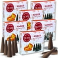 thumbnail image 1 of Amber Incense Cones - 60 Pack (10 x 6 Scents) - Scented Cone Incense, 1 of 8