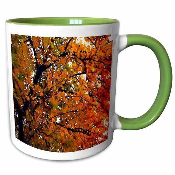 3drose, Amber Leaves of Fall, 11oz Two-tone Green Mug