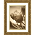thumbnail image 1 of Amber Light Gallery 11x14 Gold Ornate Wood Framed with Double Matting Museum Art Print Titled - Illuminated Tulips 2, 1 of 4