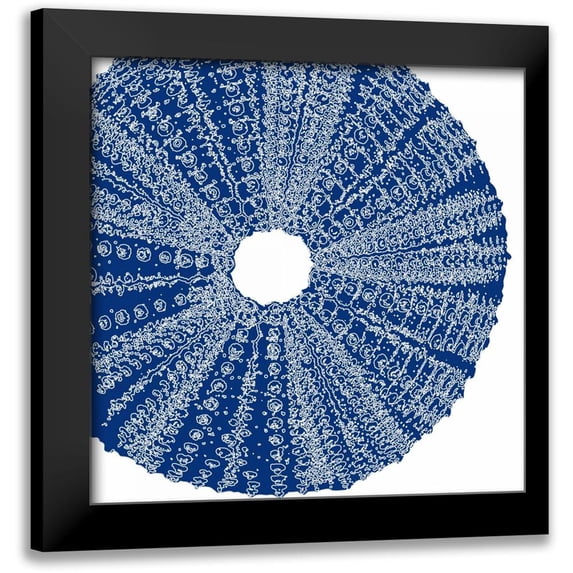 Amber Light Gallery 12x12 Black Modern Framed Museum Art Print Titled - Sepia Shell Life 2