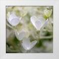 thumbnail image 1 of Amber Light Gallery 15x15 White Modern Wood Framed Museum Art Print Titled - Ivory Hydrangea, 1 of 4