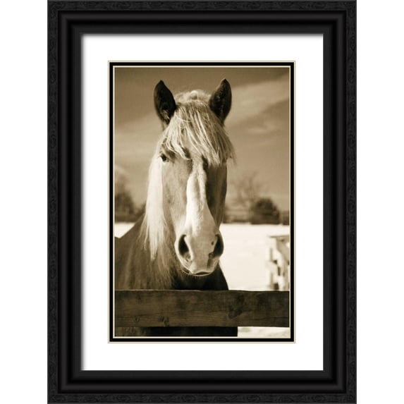 Amber Light Gallery 17x24 Black Ornate Wood Framed with Double Matting Museum Art Print Titled - At the Correl