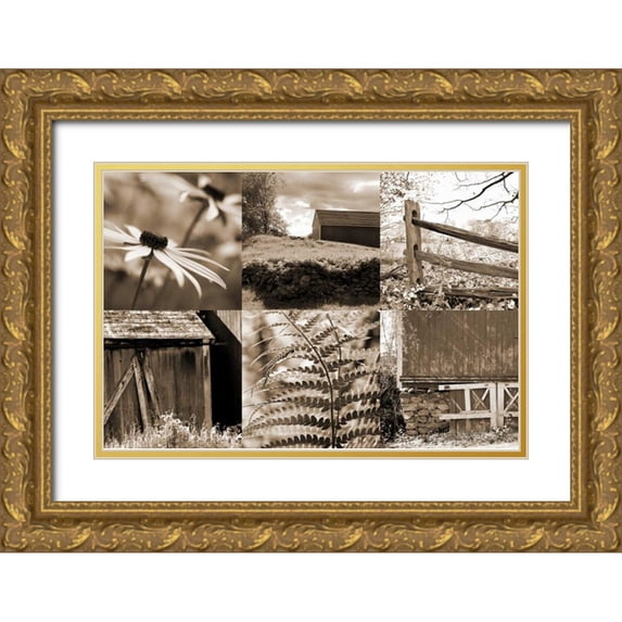 Amber Light Gallery 18x13 Gold Ornate Wood Framed with Double Matting Museum Art Print Titled - Roadside Beauty