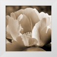 thumbnail image 1 of Amber Light Gallery 20x20 White Modern Wood Framed Museum Art Print Titled - Brilliant Peony, 1 of 4