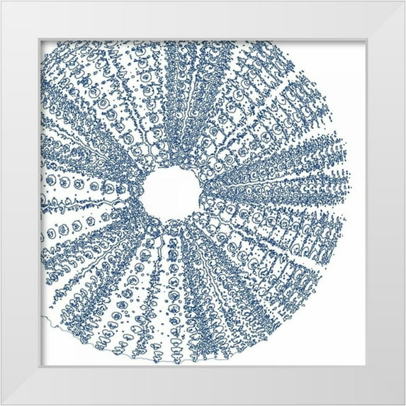 Amber Light Gallery 20x20 White Modern Wood Framed Museum Art Print Titled - Sepia Shell Life 2