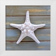 thumbnail image 1 of Amber Light Gallery 20x20 White Modern Wood Framed Museum Art Print Titled - White Starfish, 1 of 4