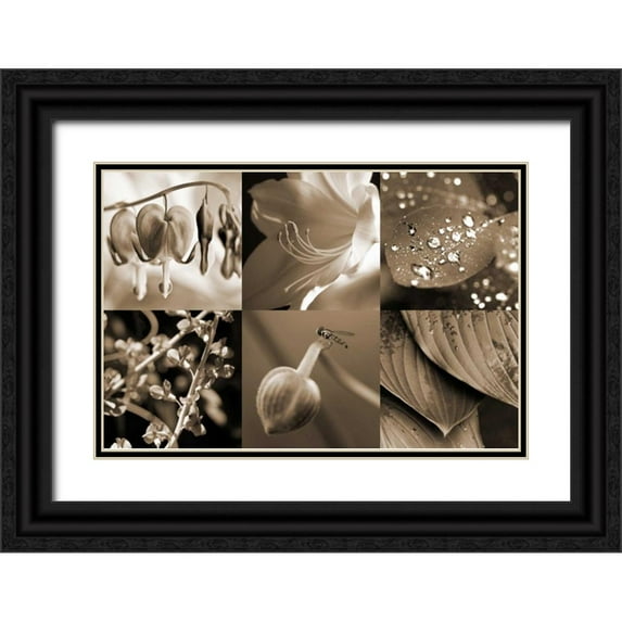 Amber Light Gallery 24x17 Black Ornate Wood Framed with Double Matting Museum Art Print Titled - Garden Path