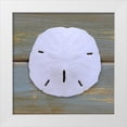 thumbnail image 1 of Amber Light Gallery 26x26 White Modern Wood Framed Museum Art Print Titled - White Sand Dollar, 1 of 4