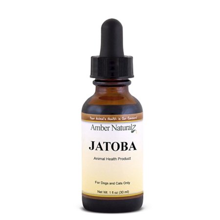 Amber NaturalZ Jatoba for Dogs & Cats | Maintaining a Proper Yeast Balance & Immune Support 1oz