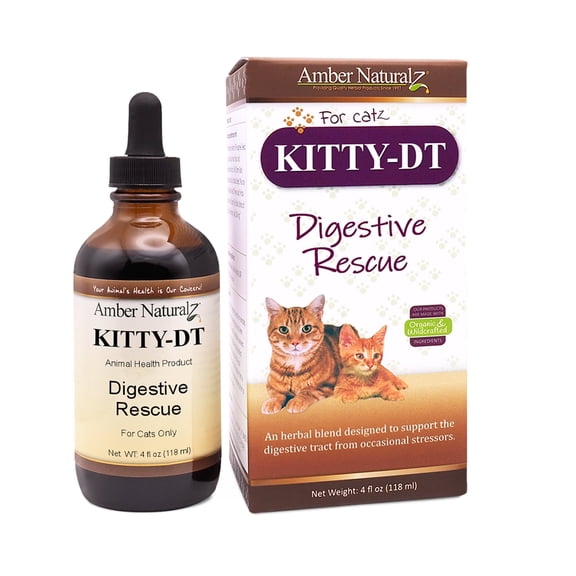 Amber NaturalZ Kitty DT Digestive Rescue for Cats | For Occasional Upset & Digestive Support 4oz