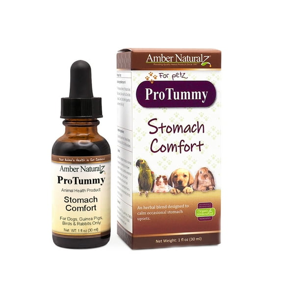 Amber NaturalZ ProTummy Stomach Comfort for Pets | For Occasional Upset Stomach 1oz