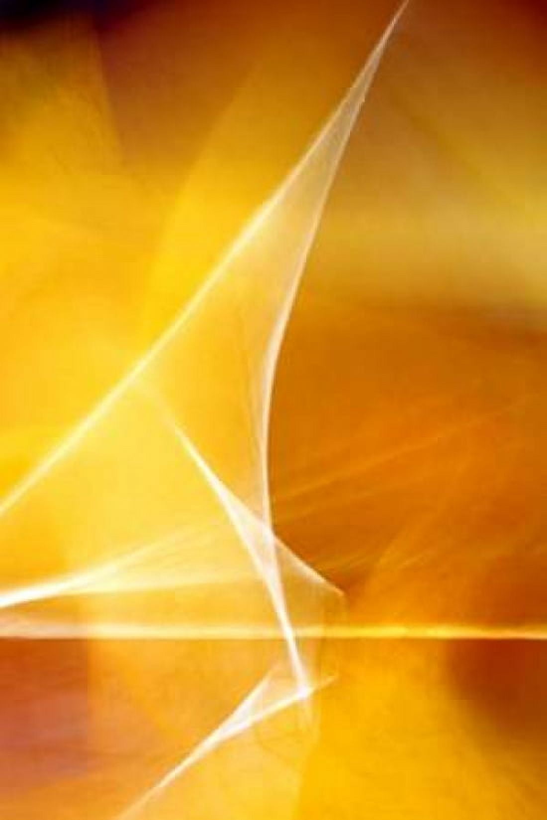 Amber Refraction II Canvas Art - Douglas Taylor (24 x 36)