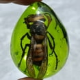 thumbnail image 1 of Amber Style Insect Pendant Handmade Drop Resin Single Pendant Necklace Jewelry for Men Women Nature Inspired Charm, 1 of 8