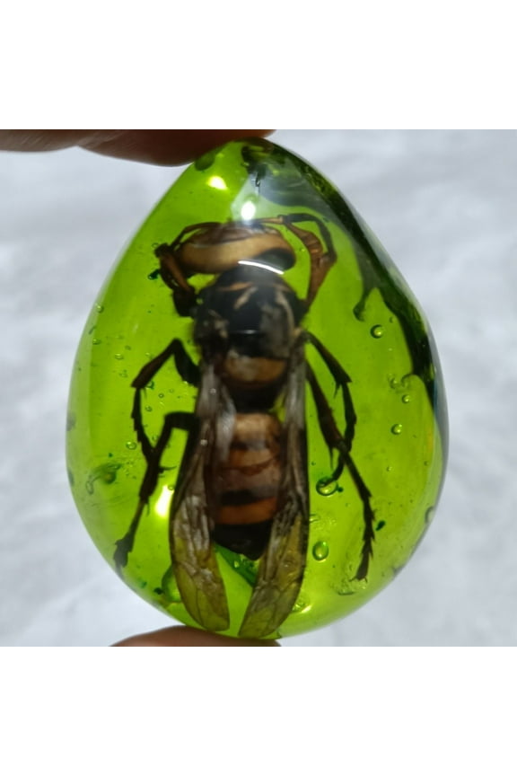 Amber Style Insect Pendant Handmade Drop Resin Single Pendant Necklace Jewelry for Men Women Nature Inspired Charm
