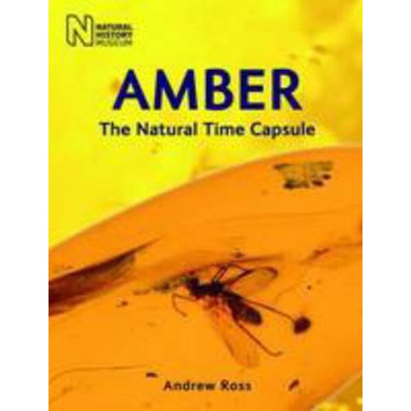 Pre-Owned Amber : The Natural Time Capsule