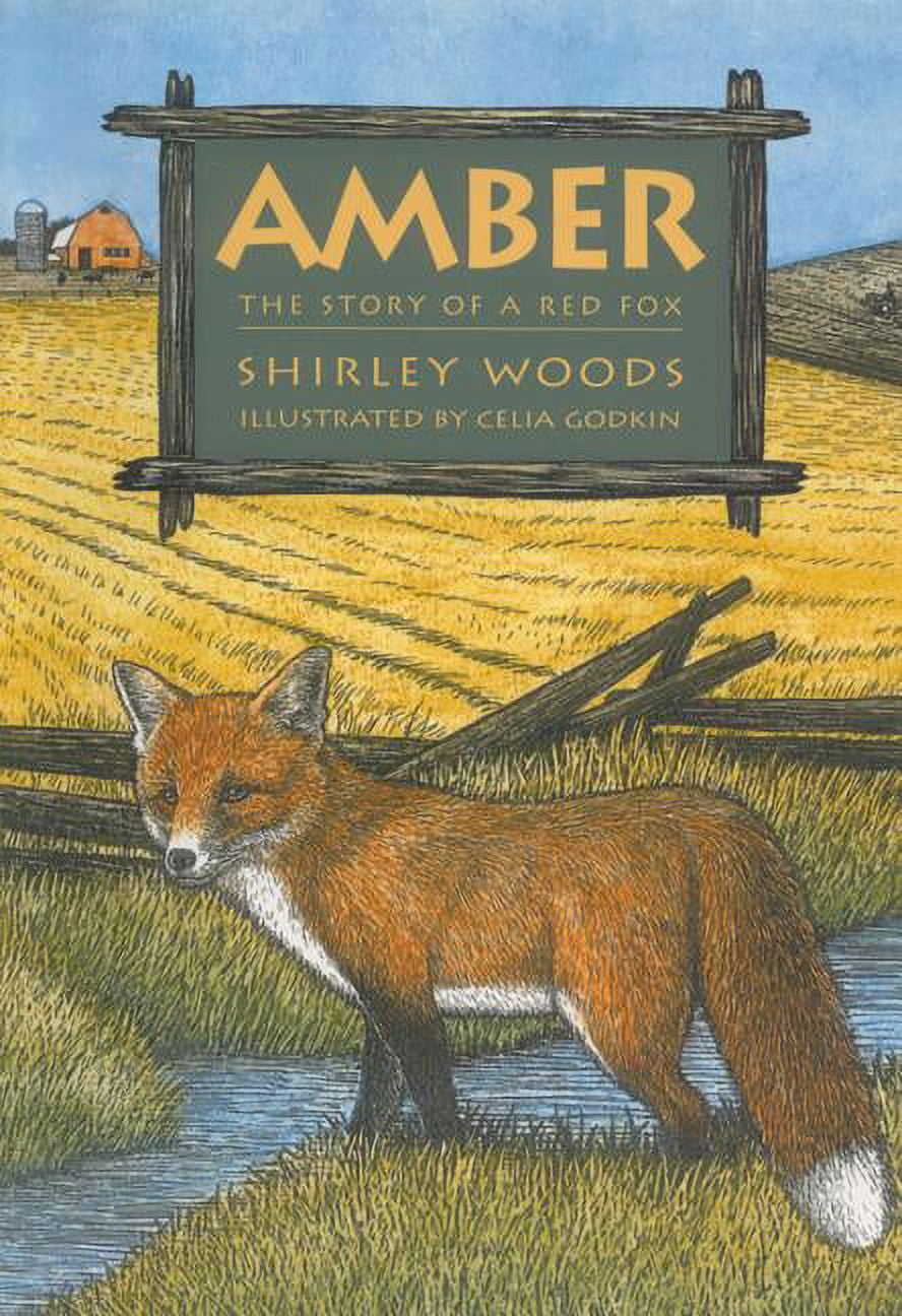 Amber: The Story of a Red Fox (Paperback) - Walmart.com