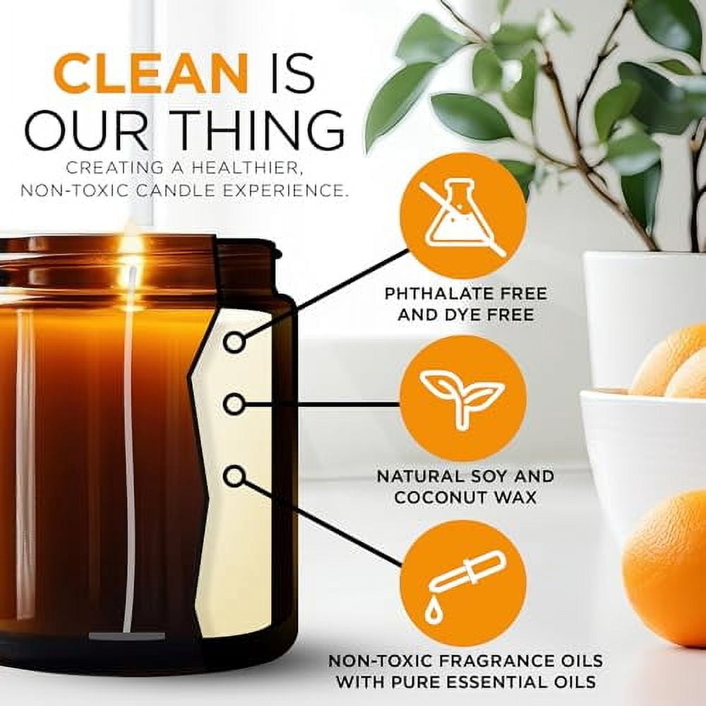 Amber Vale Home Tennessee BACKROADS, Evergreen and Deciduous Pine Scented Natural Soy and Coconut Wax Candle, Phthalate Free, Non-Toxic and Healthy Clean Burning, 9oz Jar