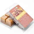 thumbnail image 1 of Amber Vanilla, Soy Melt Cubes, 2-Pack, 1 of 2