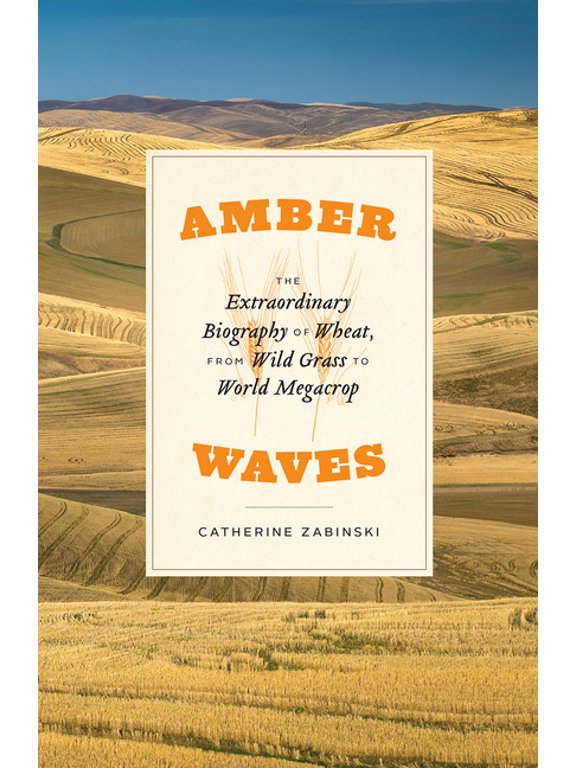 Amber Waves : The Extraordinary Biography of Wheat, from Wild Grass to World Megacrop (Edition 1) (Hardcover)