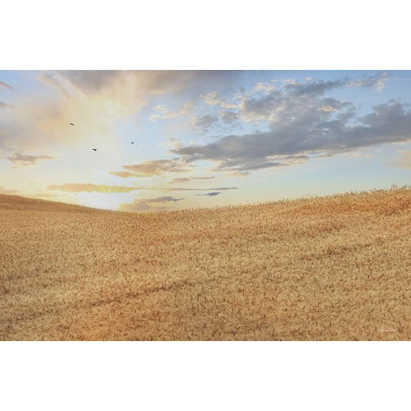 Amber Waves of Grain at Sunrise Poster Print - Lori Deiter (36 x 24)