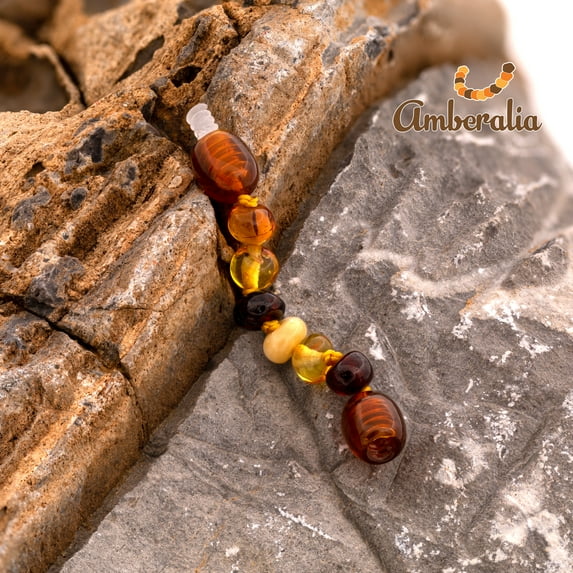Amberalia Baltic Amber 2" extension for Necklace or bracelet- - for twist clasp necklaces only -Polish Multicolor