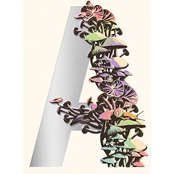 Pre-Owned Ambergris: City of Saints and Madmen; Shriek: An Afterword; Finch, 9780374103170, 0374103178, Hardcover, First Edition edition