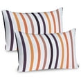 thumbnail image 1 of Ambesonne Abstract Pillow Sham 2 Pack, Vertical Pattern Stripes, 36"x20", Pale Rust and Multicolor, 1 of 3