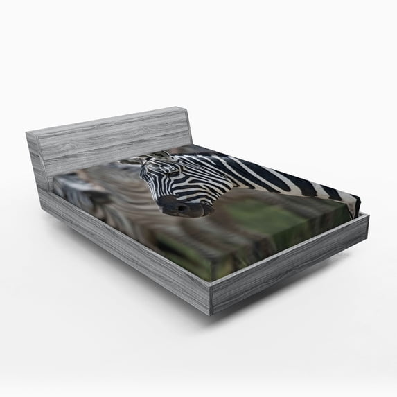 Ambesonne African Fitted Sheet, Zebra in Serengati Park, Queen Size, Reseda Green White Black