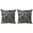 thumbnail image 1 of Ambesonne African Throw Pillow Cover 2 Pack, Zebra in Serengati Park, 20", Reseda Green White Black, 1 of 2